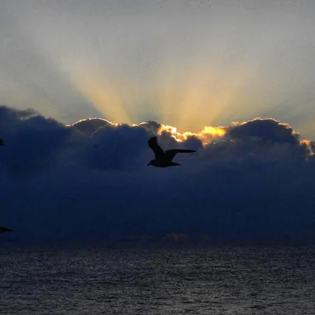 La Gara Appartement Constanţa