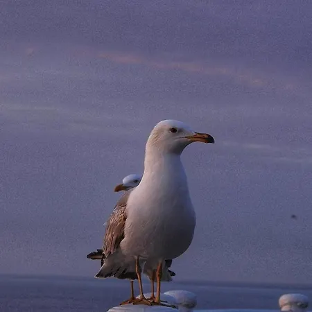 Center Boulevard 아파트