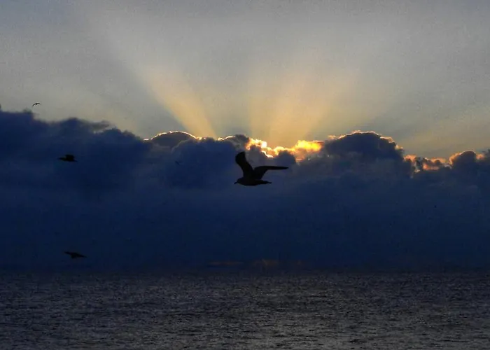 Center Boulevard 아파트 콘스탄차