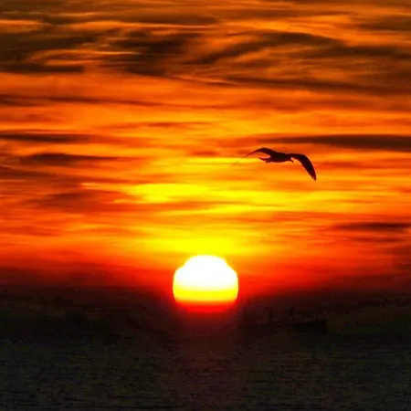 Center Boulevard Apartamento