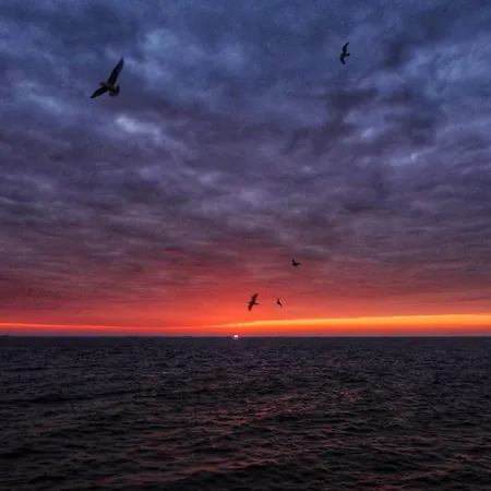 Center Boulevard Apartamento