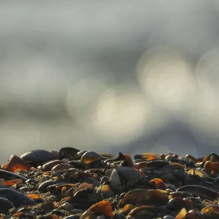 La Gara Apartment Constanţa