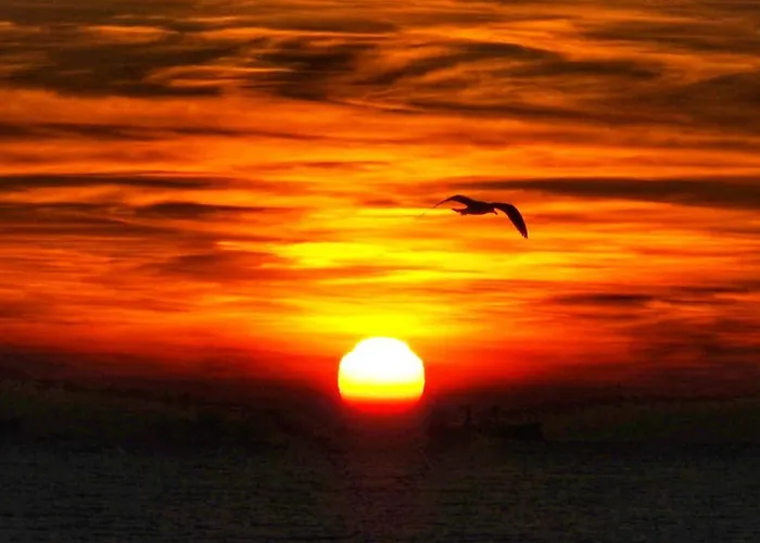 Center Boulevard Apartamento