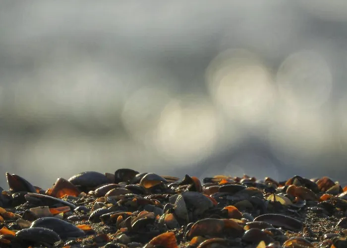 Center Boulevard Apartamento Constança